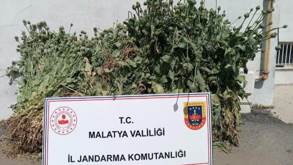Malatya'da Jandarmanın 5 İlçedeki Narkotik Operasyonu: 12 Gözaltı 