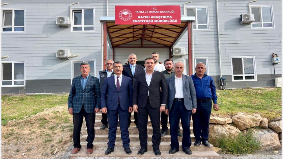 Kayısı Araştırma Enstitüsü'nde Don Hasarı Masaya Yatırıldı