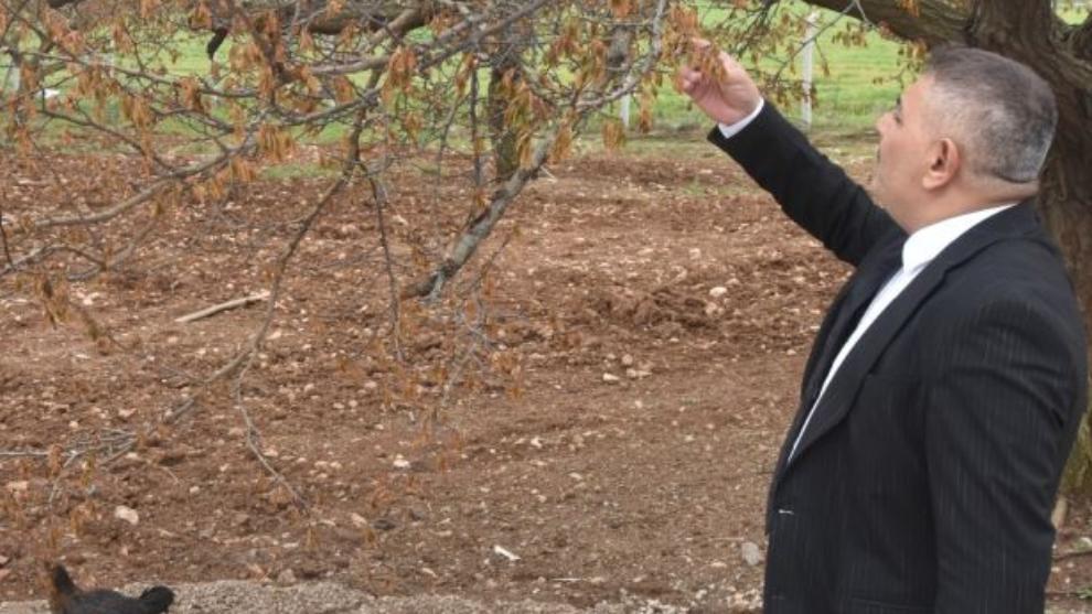 Malatya'da Üretici Perişan! “Evini Satacak Duruma Geldi”