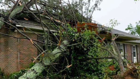 Malatya'da Çatı Uçabilir, Ağaçlar Devrilebilir: Fırtına Bekleniyor!