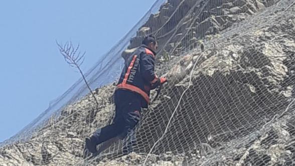 Pütürge'de Dağ Keçileri Kurtarıldı: Tel Örgüye Sıkışmışlardı