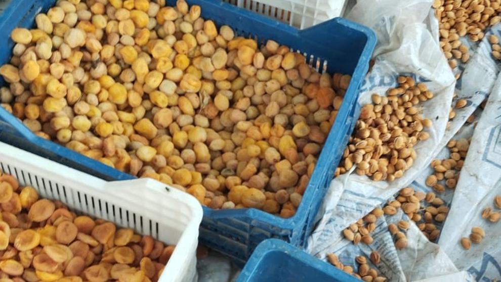 Malatya'da Sahte Kayısı Alarmı: Piyasaya Mersin Ürünü Mü Sürülüyor?