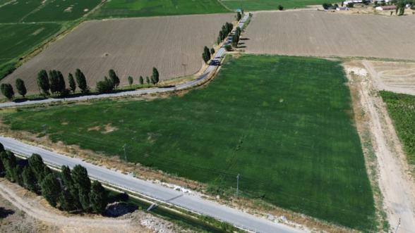 Battalgazi parklarında yerli üretim çim dönemi