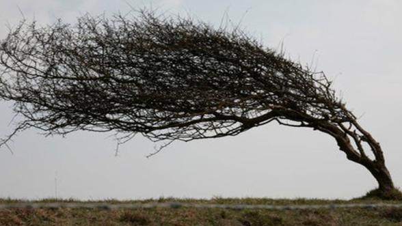  Dikkat! Meteoroloji'den Malatya İçin Kuvvetli Rüzgar ve Fırtına Uyarısı!