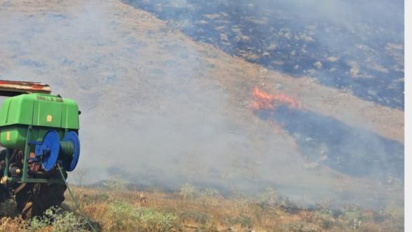 Doğanşehir'de Orman Yangını Alarmı: Müdahale Devam Ediyor!
