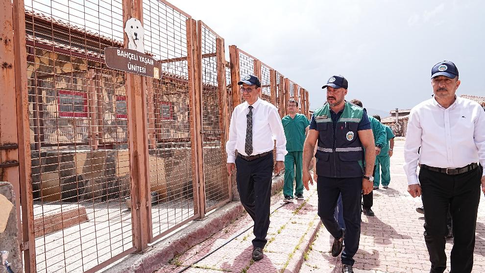 Yeşilyurt'ta Can Dostları Sokaklara Terk Edilmeyecek!
