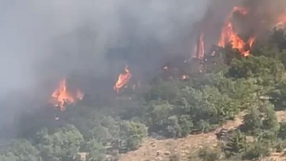 Doğanyol-Burç'ta Orman Yangını 