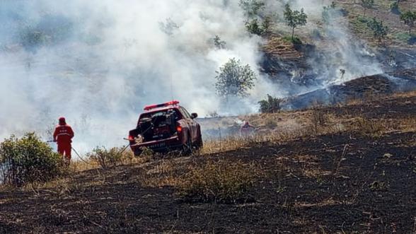 Hekimhan'da Ormanlık Alan Yandı 