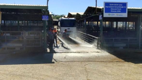 Malatya'da Hayvan Pazarının Akıbeti Belli Oldu: Açılış İçin Bakanlık Talimatı Bekleniyor