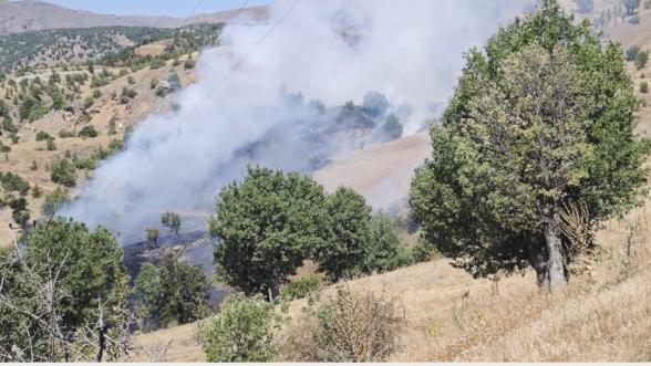 Pütürge'deki orman yangını kontrol altına alındı