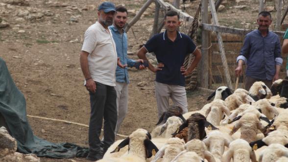 "Yerli çoban bulmak zor, genelde yabancı uyruklu çalıştırılıyor"