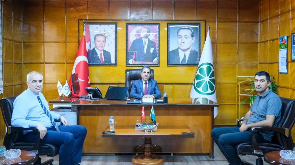 Şekerin Müdür Çilesi