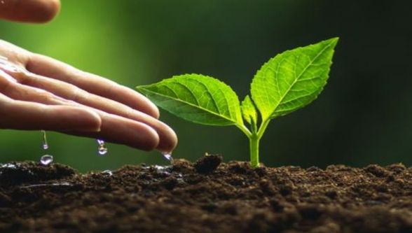 Beydağı'na 10 Bin Ağaç İçin İhale Düzenlenecek