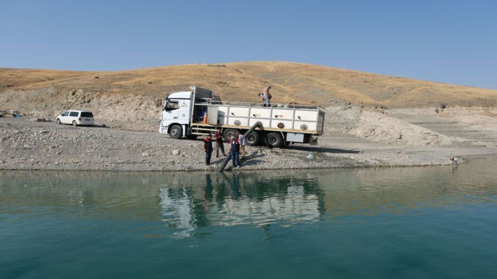 Malatya'da Baraj ve Göletlerde Balık Üretimi Artacak