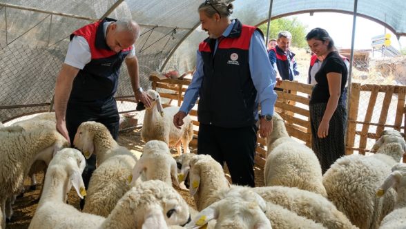  Cangül Hanımağa'nın Başarısı 