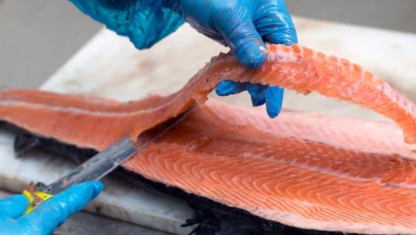 TKDK Malatya'dan Önemli Duyuru: Kırsal Kalkınma İçin %70'e Varan Destek Başvuruları Başlıyor