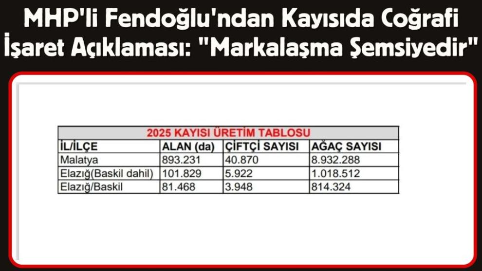 MHP'li Fendoğlu'ndan Kayısıda Coğrafi İşaret Açıklaması: 