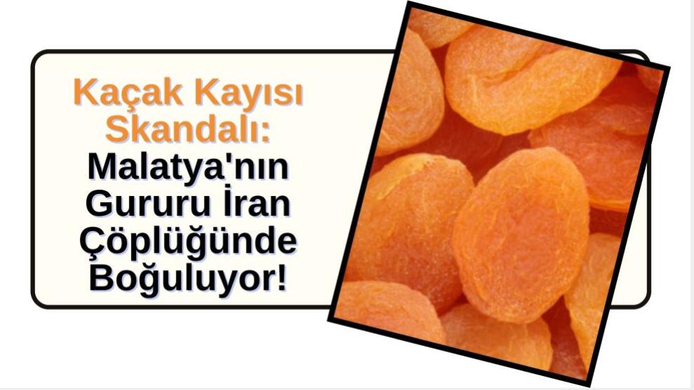 Kaçak Kayısı Skandalı: Malatya'nın Gururu İran Çöplüğünde Boğuluyor!