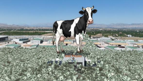 Malatya Kayısı Merkezi Takası Neden "Ballı Takas" Olarak Anılıyor?