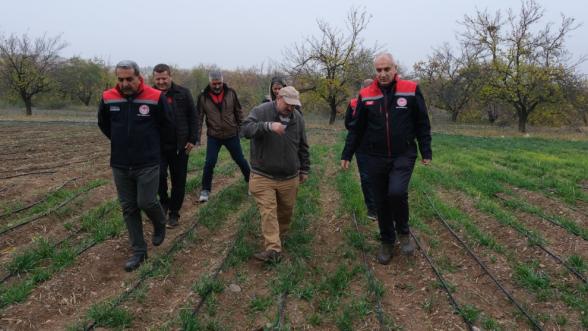 Malatya'da Safran Rekoru Kırdı: 1 Dekardan 900 Gram Ürün!