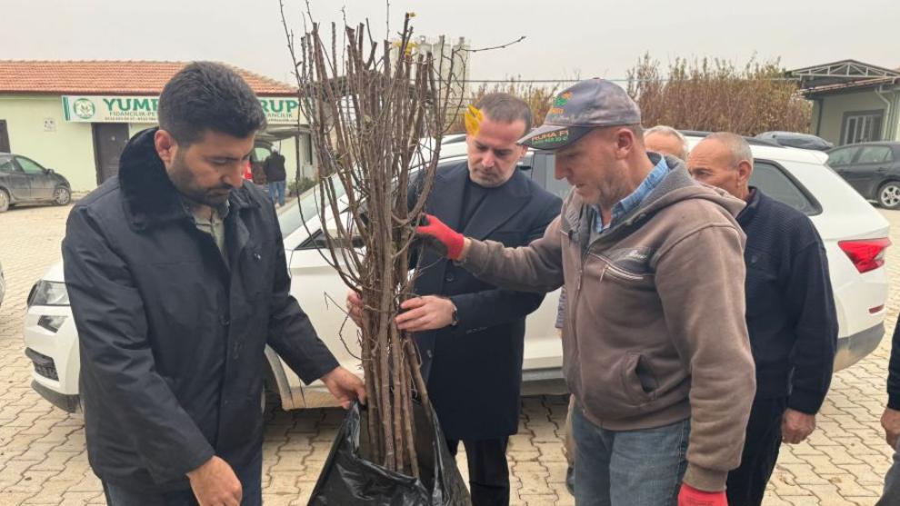 Beton Santrali Fidanları Zehirliyor!