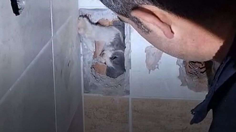 Havalandırma Boşluğuna Düşen Kediye İtfaiye Şefkati