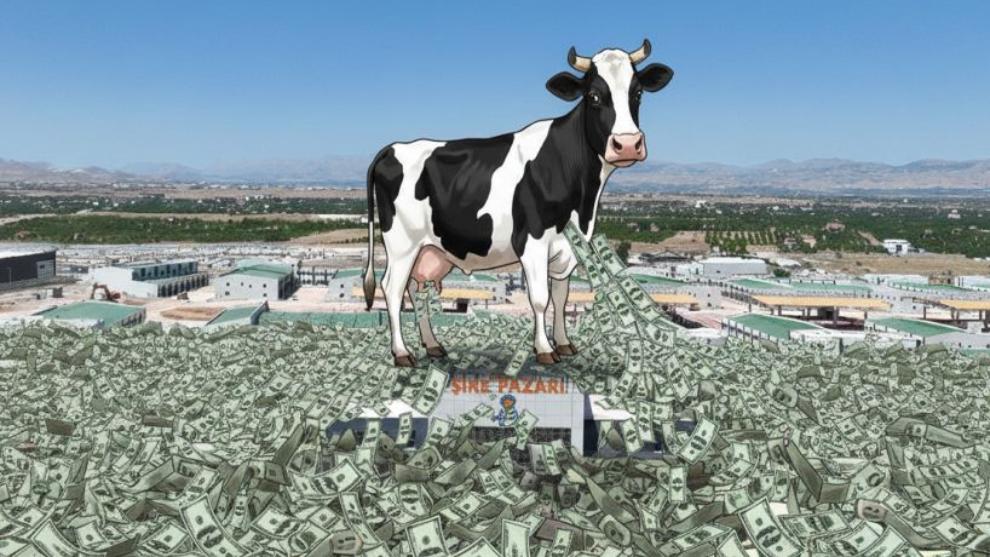 Malatya Kayısı Merkezi Takası Neden 