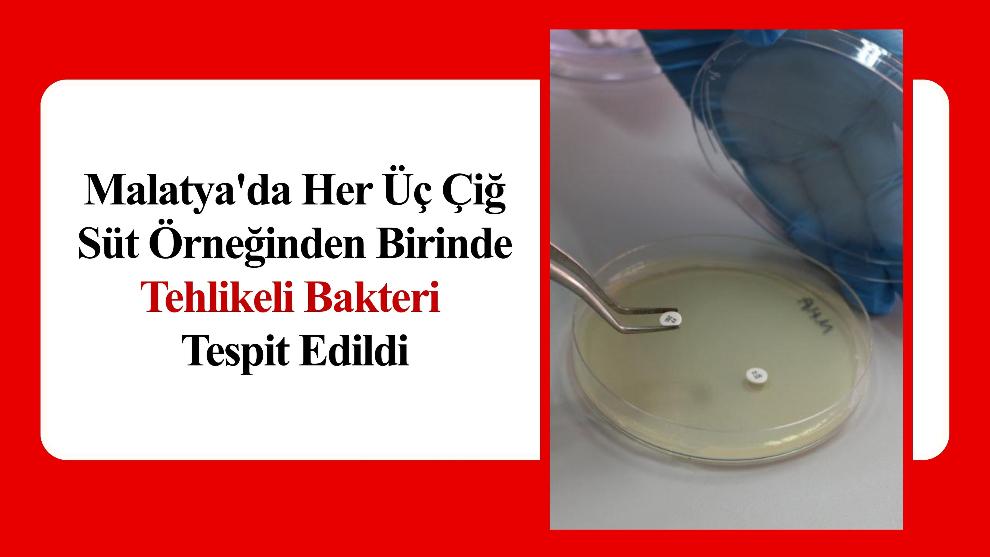 Malatya'da Her Üç Çiğ Süt Örneğinden Birinde Tehlikeli Bakteri Tespit Edildi