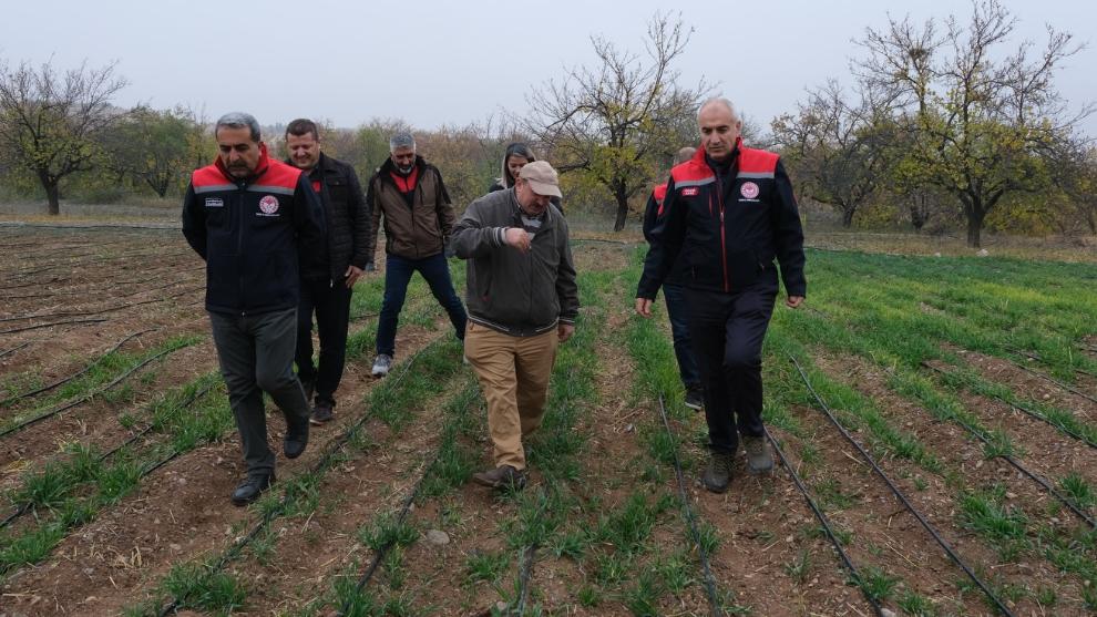 Malatya'da Safran Rekoru Kırdı: 1 Dekardan 900 Gram Ürün!