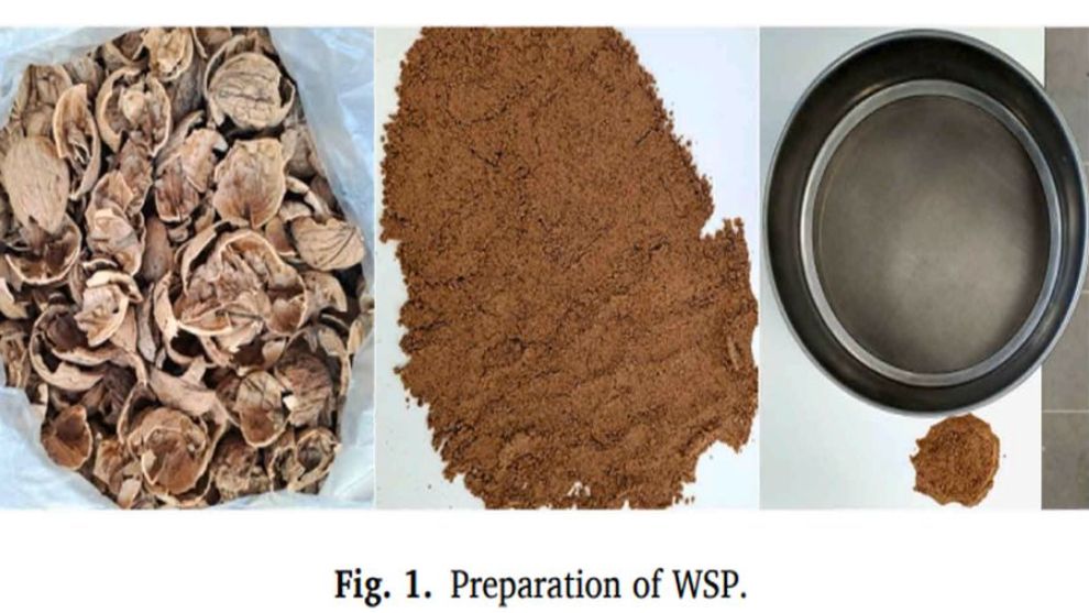 MTÜ'den Çığır Açan Araştırma: Ceviz Kabuğu Atıkları Yolları Güçlendiriyor.