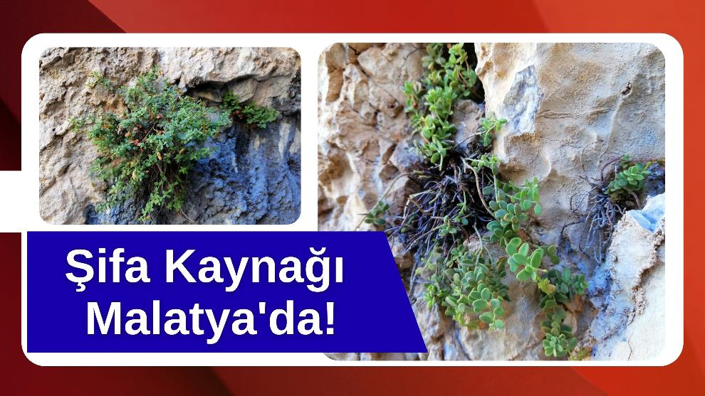 Şifa Kaynağı Malatya'da!