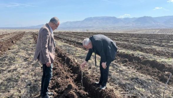 Kuraklığa Meydan Okuyan Çözüm: Tuz Çalısı Malatya'da