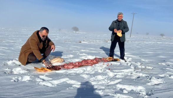 İhsan Akın'dan yaban hayatına destek: Dağlara yem bırakıldı