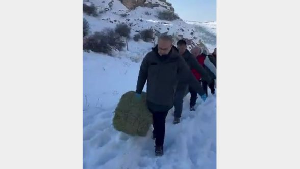 Malatya'da Yaban Hayvanlarına Kış Mesaisi