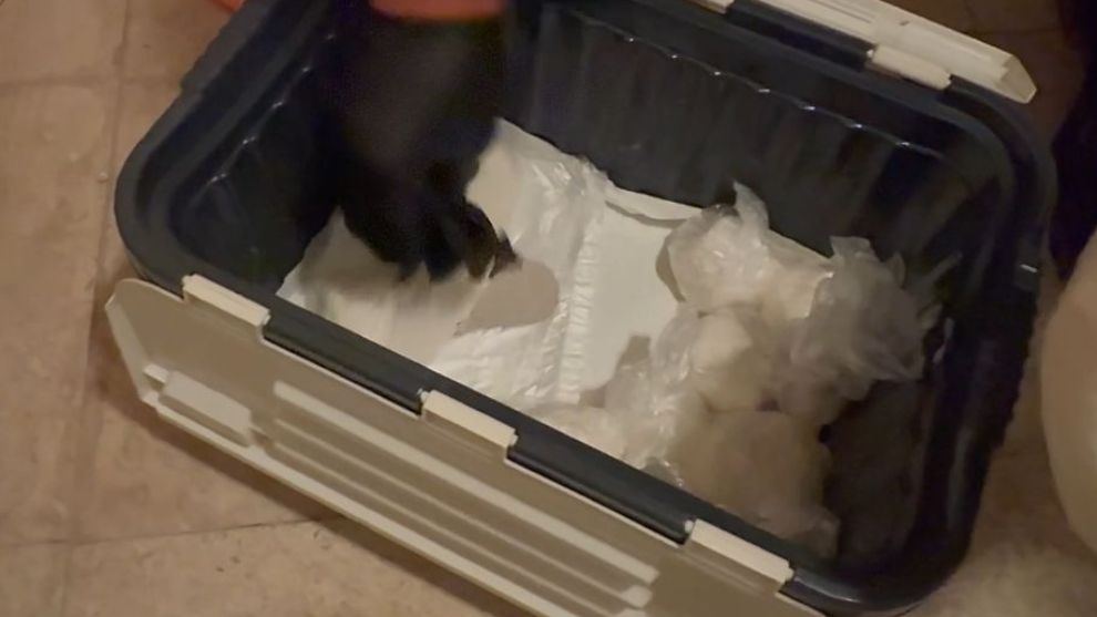 Malatya'da Emniyet Sokakları Pisliklerden Temizliyor!...