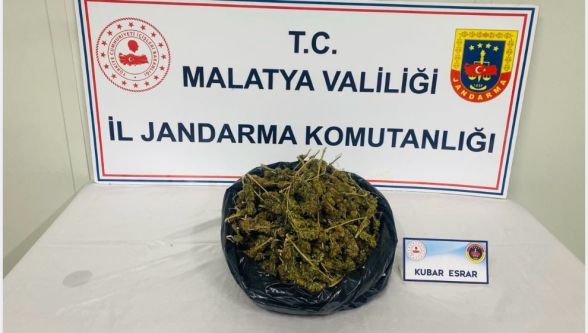 Malatyada jandarmadan esrar operasyonu: 1 gözaltı