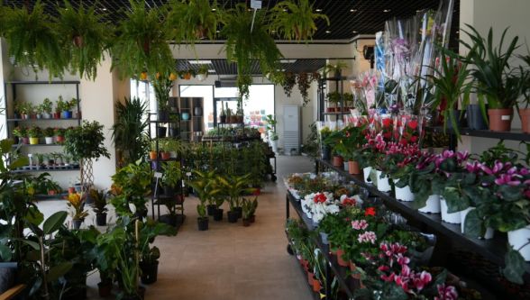  Yeşil Alan Seferberliği: Çarşıbaşı Projesi Yaza Hazırlanıyor