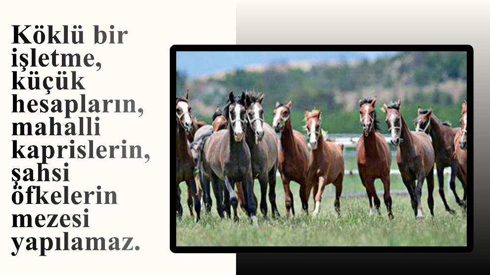 Köklü bir işletme, küçük hesapların, mahalli kaprislerin, şahsi öfkelerin mezesi yapılamaz.