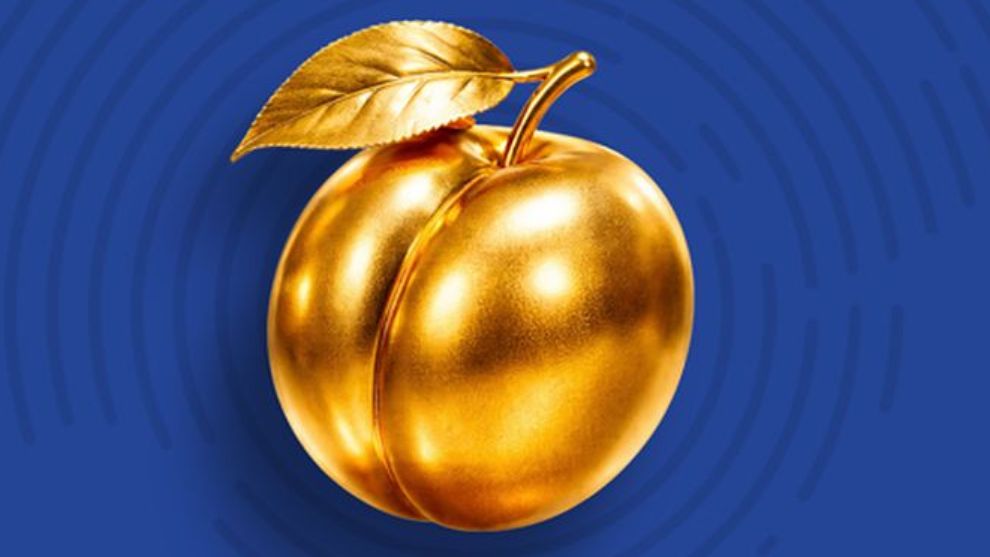 Malatya Kayısısında Mevcut Model Çöktü mü?