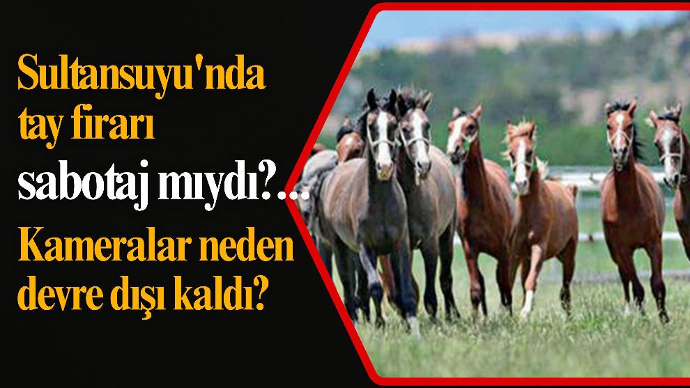 Sultansuyu'nda tay firarı sabotaj mıydı?... Kameralar neden devre dışı kaldı?