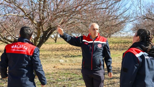 Kayısıda Kritik Dönem Başladı: İl Tarım Müdüründen İlaçlama Uyarısı