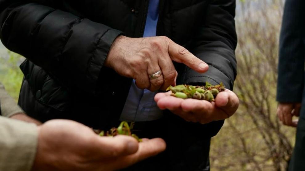 Dolu Hasarı Malatya'da 7 İlçede  52 Mahalleyi Etkiledi