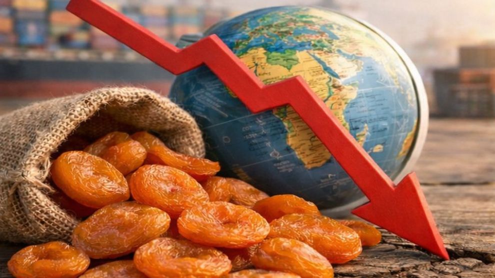 Malatya Ekonomisinde Kış Soğuğu: İhracat Rakamları Geriledi.