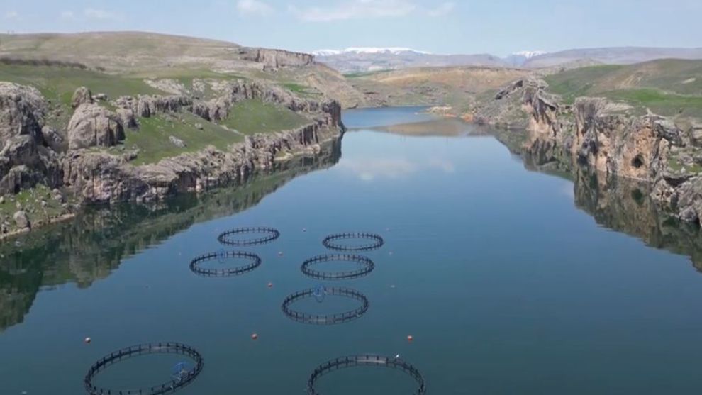 Malatya'da Alabalık Üretimi Yıllık 7 Bin 500 Tona Ulaştı