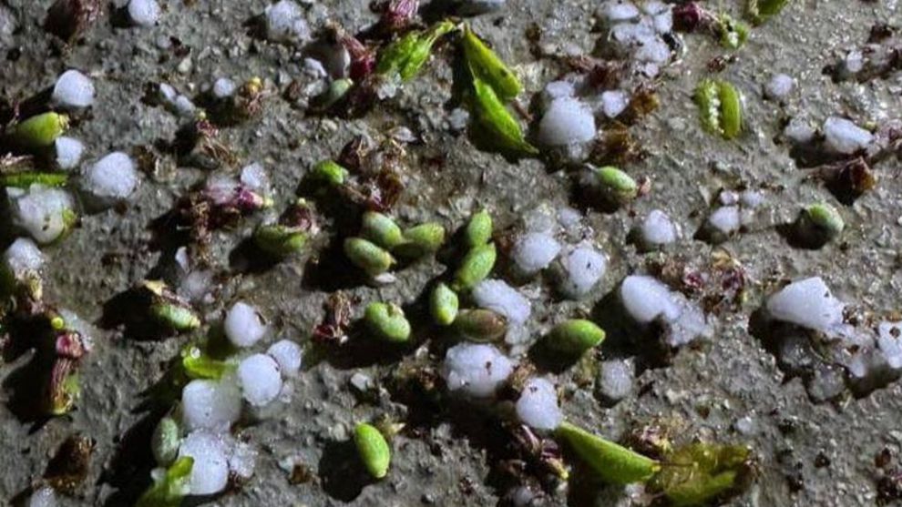 Talimat Verildi, Malatya'da Dolu Sonrası Hasar Tespiti Başlatılıyor