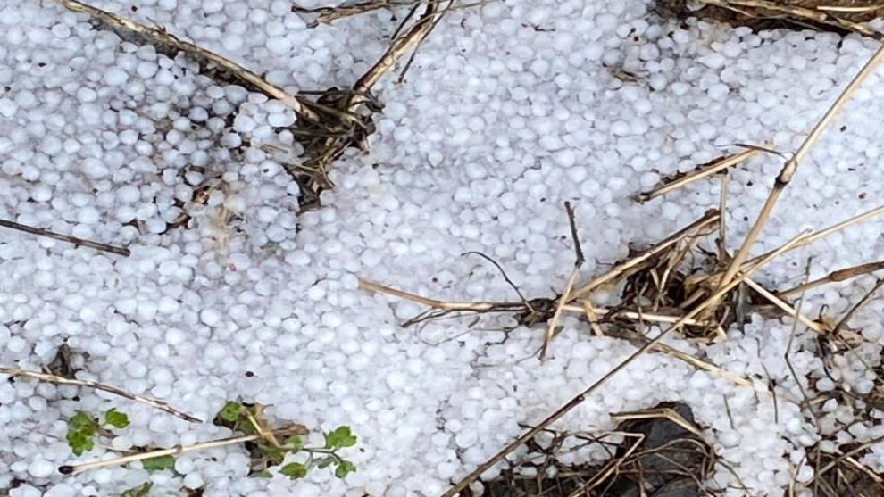 “Üreticilerimizin Her Zaman Yanında Olacağız”