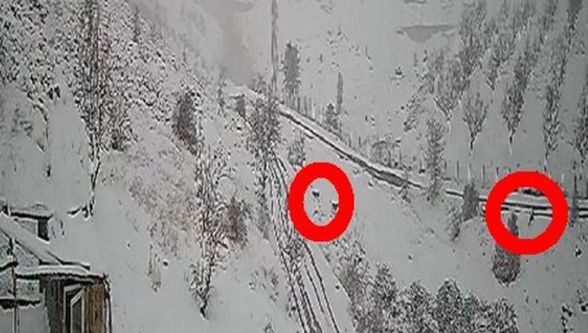 Kar bastırdı, kurtlar köy turuna çıktı