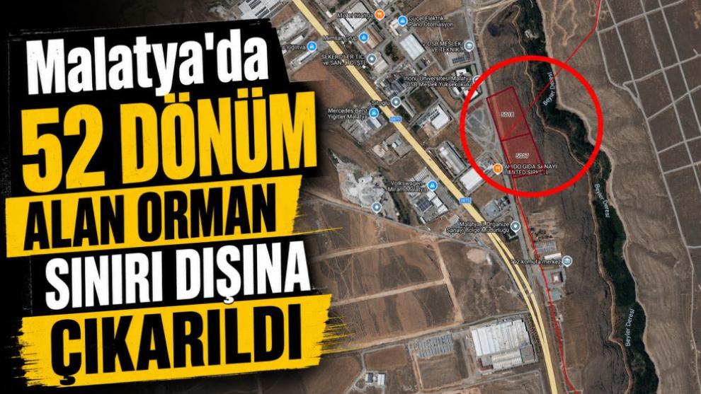 Malatya'da 52 Dönüm Alan Orman Sınırı Dışına Çıkarıldı