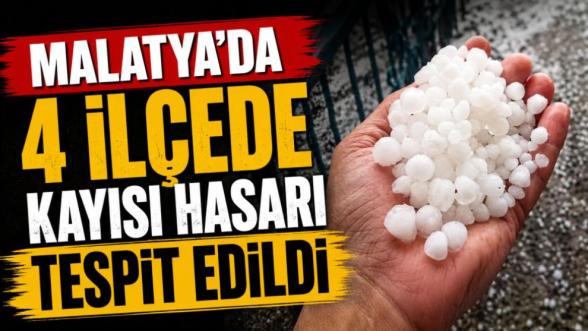 Malatya'da 4 İlçede Kayısı Hasarı Tespit Edildi