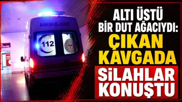 Altı Üstü Bir Dut Ağacıydı: Çıkan Kavgada Silahlar Konuştu